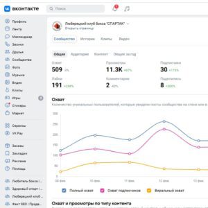 услуги seo оптимизации
